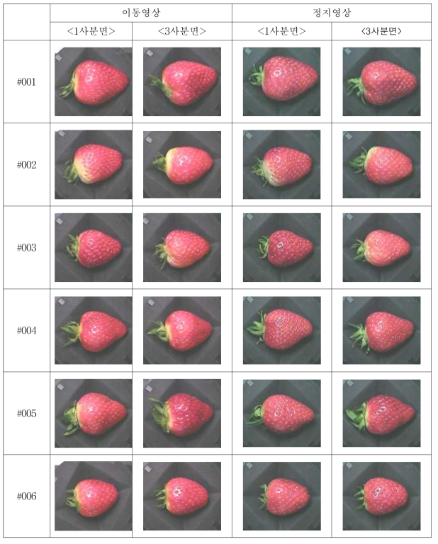 장희 품종의 정상 딸기 영상