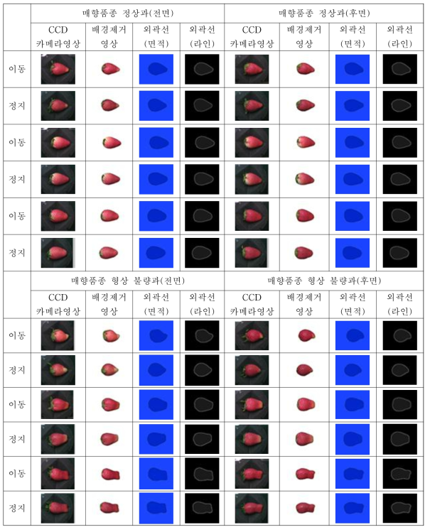 매향 품종 딸기의 CCD 카메라 이미지 및 마스킹 이미지