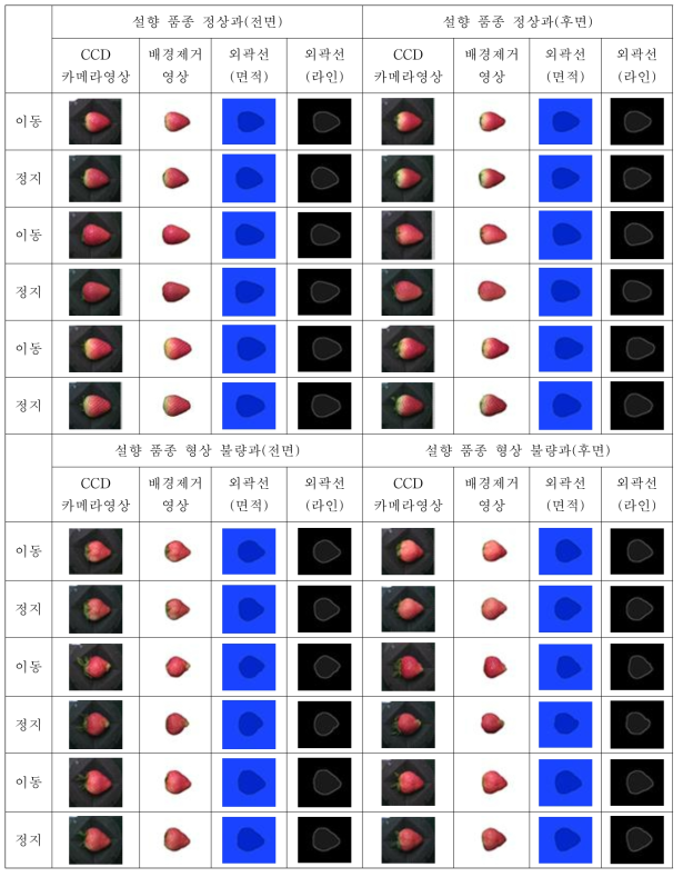 설향 품종 딸기의 CCD 카메라 이미지 및 마스킹 이미지