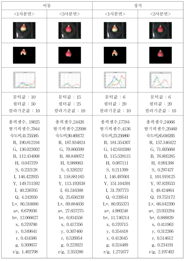 산타 비정상과 색상 정보(중량 21.83 미숙과)