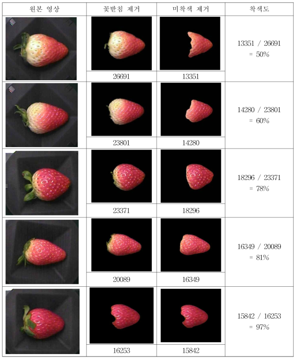 딸기 착색도 판별 영상