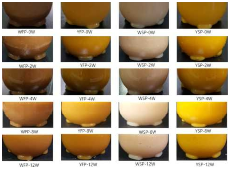 Appearance of thawed peach puree during storage period WFP:Peach puree of white flesh without steaming, WSP:Peach puree of white flesh with steaming, YFP:Peach puree of yellow flesh without steaming, YSP:Peach puree of yellow flesh with steaming