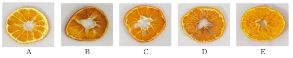 Appearance of dried mandarin pruduct(slice)