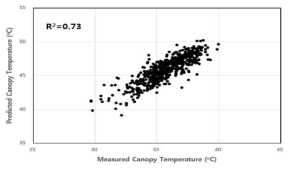 기상자료를 이용하여 예측한 엽온과 실측한 엽온간의 비교