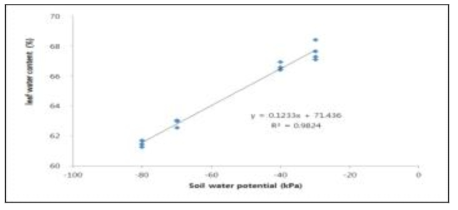 토양 수분 수준(-80∼-30 kPa)에 따른 엽 수분 함량(%)