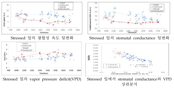 복숭아 수분 Stressed에 따른 엽 광합성 반응, stomatal conductance, vapor pressure deficit(VPD) 일변화