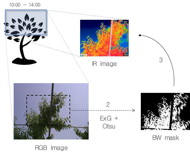 RGB영상과 열적외선 영상을 이용한 잎 온도 추출 과정