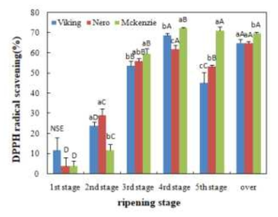 DPPH radical scavenging activity of aronia by varieties and harvest stages a-b Means with different superscripts within the varieties raw are significantly different.(p<0.05) A-D Means with different superscripts within the ripening stages column are significantly different.(p<0.05)