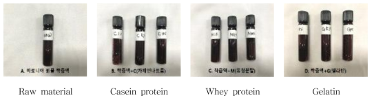 Appearance of aronia juice by types and content of protein solution before heating