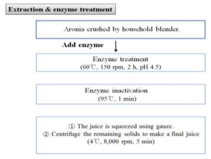 Scheme of Aronia enzyme treatment