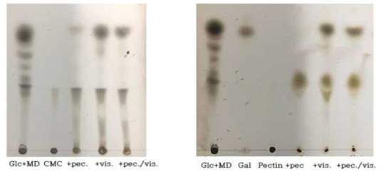 TLC of Aronia extract with enzyme of pectinase, cellulase(Galactose, Pectin)