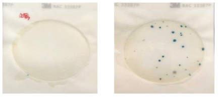 Comparision of microbe of Aronia with treatment hygien water