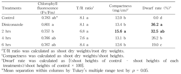 쓸어주기(brushing) 처리를 이용한 토마토 ‘미니찰’ 플러그 묘의 처리 후 20일째 T/R ratio, compactness, 왜화율