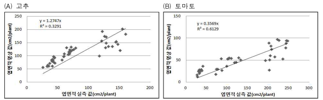 고추(A) 및 토마토(B) 모종 엽면적 실측치와 영상 값과의 상관관계