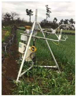 마늘 주산지에 설치한 에디플럭스 측정장치(제주 서부지역)