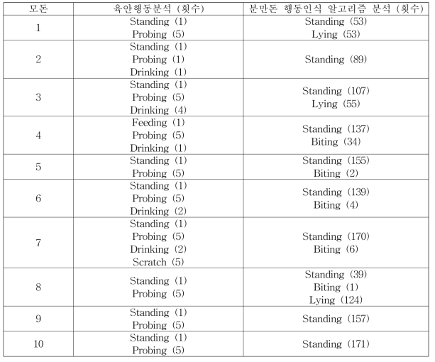 모돈의 탐색행동에 대한 육안관찰 결과와 영상알고리즘 분석결과 비교