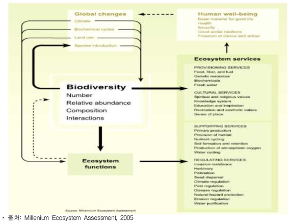생물다양성, 생태계 기능, 생태계서비스