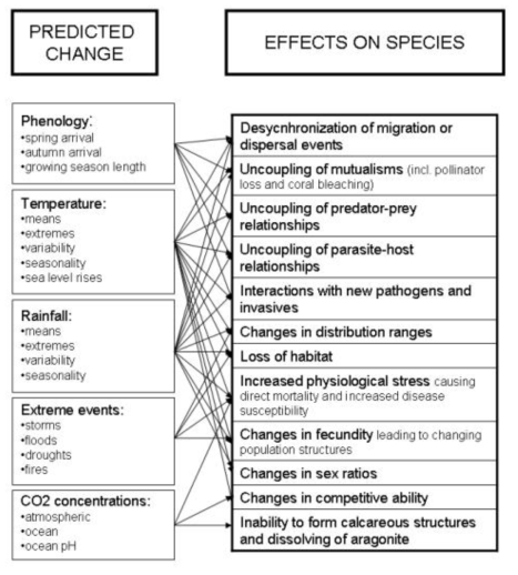 기후변화 전망 현황과 생물종에 나타날 수 있는 영향 관계(Foden et al., 2008)