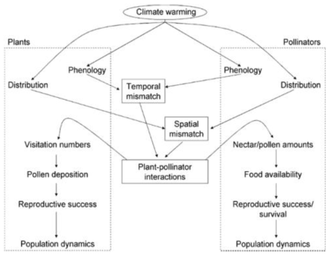기온상승에 따른 식물과 화분매개곤충의 상호작용(Hegland et al., 2009)