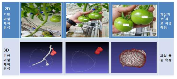 영상분석을 통한 과실 체적 분석기술 개발(KIST)
