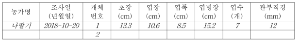 딸기 생육조사 자료 입력 양식