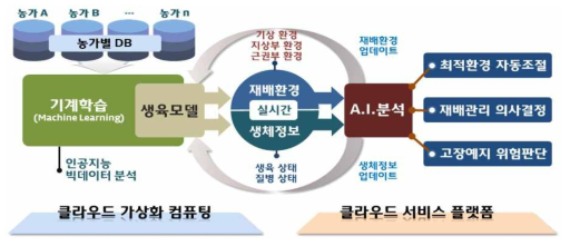 토마토 생육·환경정보 데이터베이스 기반 분석 프로세스