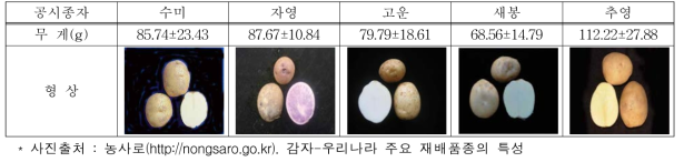 공시 품종별 씨감자 무게 및 형상