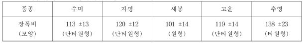 씨감자 품종별 장폭비 및 형상