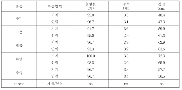 파종방법에 따른 품종별 생육특성(대관령)