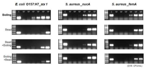 DNA 추출방법에 따른 PCR 검출 민감도