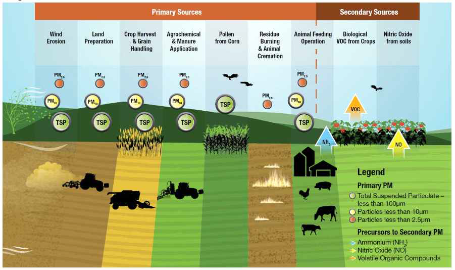 Main activities and factors contributing to primary and secondary particulate matter (PM) emissions in agriculture