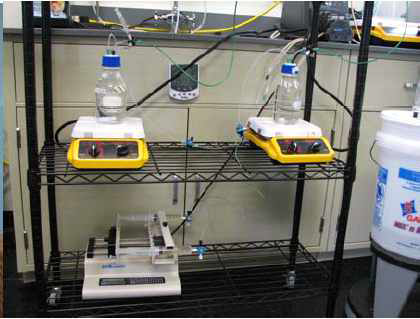 Bioreactor setup (lab scale)