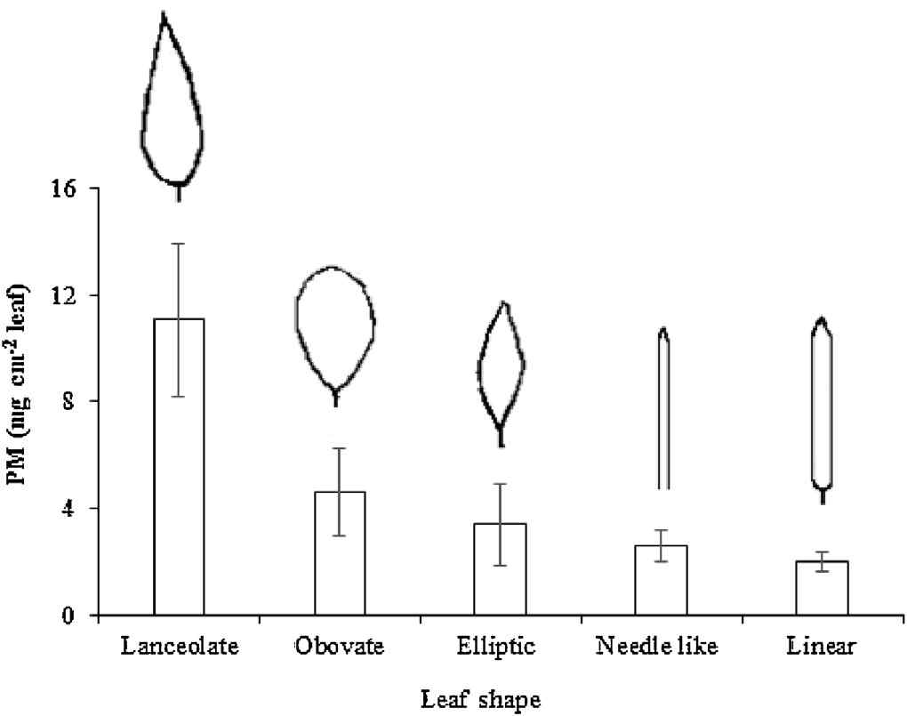 Amount of PM (mean + S.E.) collected on leaves with different shapes andexpressed in mg cm−2of leaf. For each leaf shape a minimum of two replicateplant species and 10 plants per species was sampled. Letters indicate a significantdifference at P < 0.05