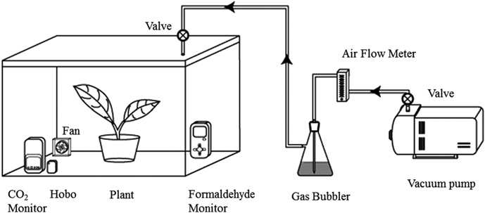 Experimental setup for evaluating formaldehyde removal