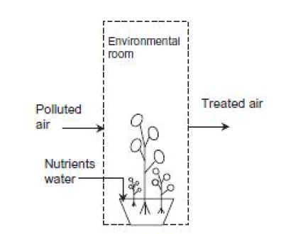 식물 생물 여과 시스템의 모식도: potted-plant (PP)