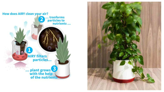 Andrea: Plant-based Air Purifier