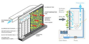 Nedlaw의 수직수경재배형 식생연계 바이오필터 시스템