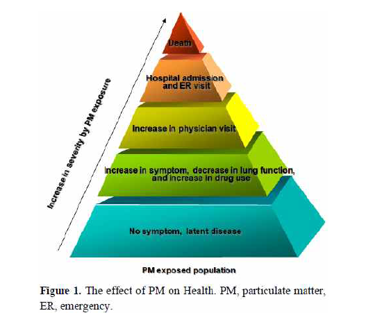 The effect of PM on health, PM, particulate matter, ER, emergency