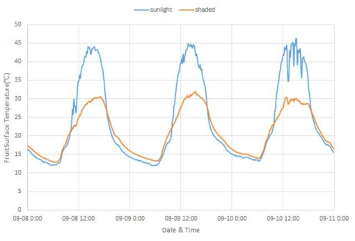 맑은 날 사과의 양광면과 음광면의 표면온도 변화(2018.9.9.~9.11.)