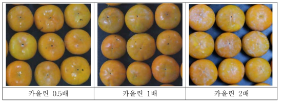 농도별 처리에 따른 카올린의 과실 표면에 잔류