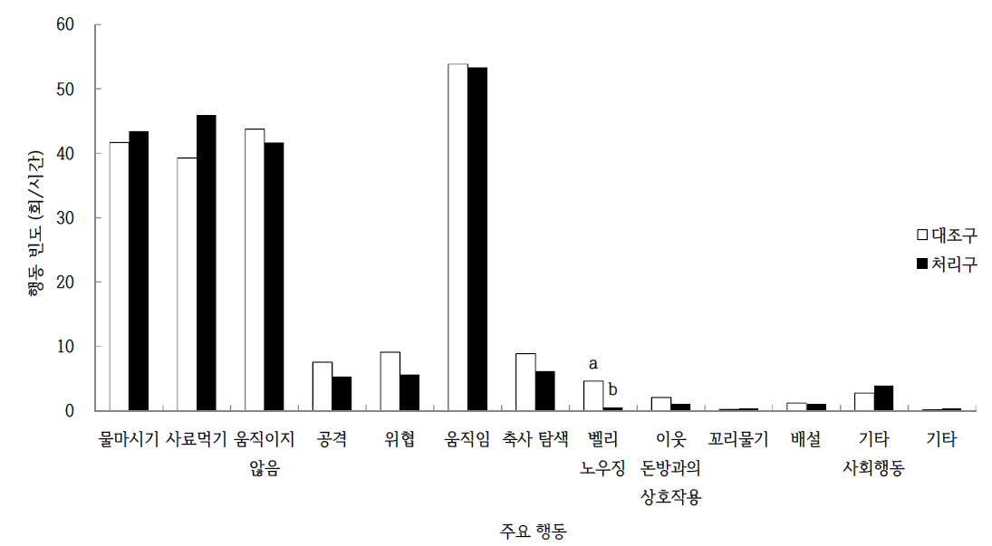 대조구와 처리구에서 자돈의 주요 행동 빈도 비교