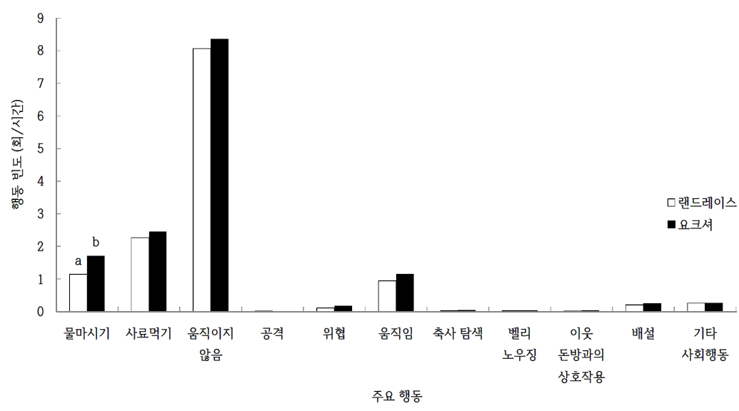 랜드레이스와 요크셔 검정돈의 주요 행동 빈도 비교