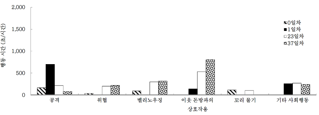 합사후 일별 듀록 육성돈의 사회적 행동 유형별 지속시간