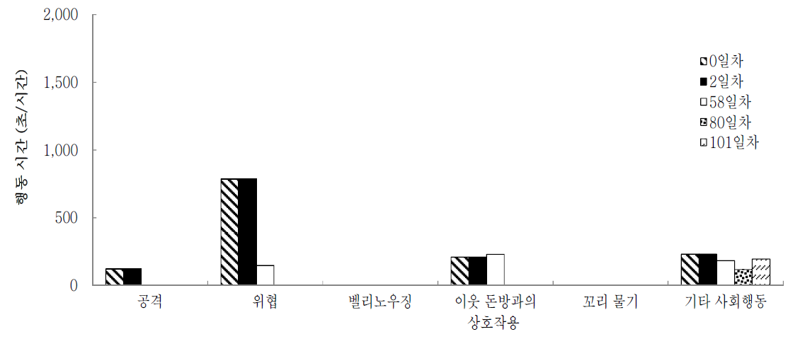 합사후 일별 요크셔 육성돈의 사회적 행동 유형별 지속시간