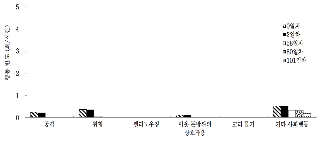 합사후 일별 요크셔 육성돈의 사회적 행동 유형별 빈도