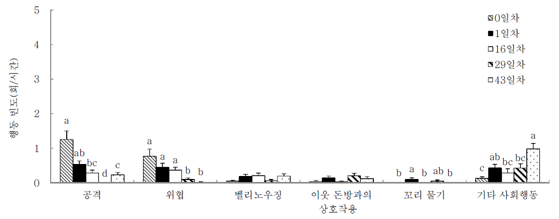 합사후 일별 육성돈의 상호작용에 영향을 주는 행동 유형별 빈도