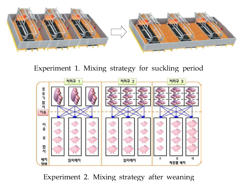 Experimental Design