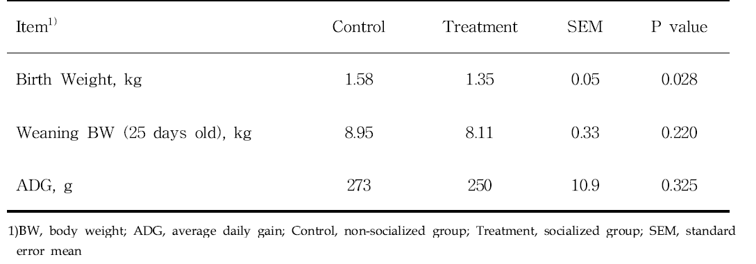 Effects of socialization of growth performance in suckling piglets