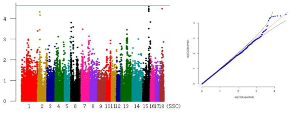 Landrace 검정개시체중 형질의 GWAS 분석결과