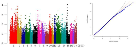 Landrace 등지방두께 형질의 GWAS 분석결과